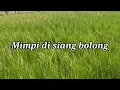 Download Lagu MIMPI DI SIANG BOLONG