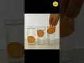 Download Lagu Awesome Science Experiment  || Floating Egg Tricks