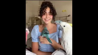 مين ده الى نسيك سارة هيثم اكسبلور Song Sound لايك اغاني حالات واتس Trending حب 