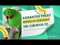 Download Lagu Karakter fighter serindit terlihat dari ciri ini !!! pasti jadi pikat terbaik !!!