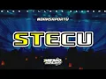 Download Lagu MEMO RIZHALDHY || STECU STECU || NEW REMIX BKM 2025