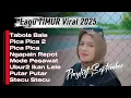 Download Lagu Playlist Lagu Timur Viral Tiktok 2025 | Tabola bale - Stecu Stecu - Pica Pica