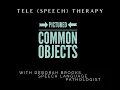 Tele Speech Therapy Pictured Common Objects