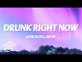 Download Lagu Josh Ross, Akon - Drunk Right Now (Na Na) (Lyrics)