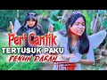 Download Lagu PERI CANTIK TERKENA PAKU⁉️ PENUH DENGAN D*ARAH