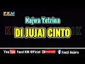 Download Lagu Najwa Yetrina - DI JUJAI CINTO ( Karaoke ) Key Original song