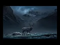 Parnassus ghost-River of visions