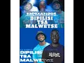 Dipilisi Tsa Malwetse (feat. MpMan205 & Twostroke Guluva)