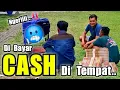 Lagu Terima Uang Hampir 100 juta ‼️ Burung nya di Lamar Pembeli Bos dari kota Semarang..