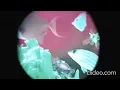 Shapes Song 2 Reupload