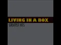 Living in a Box