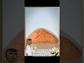 Download Lagu kemampuan unta yang banyak orang belum tahu!!!