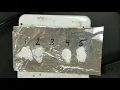 Lab Properties of Ionic and Covalent Compounds