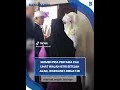 Lagu Momen Pengantin Pria Pertama Kali Lihat Wajah Istri Setelah Akad, Warganet Dibuat Iri
