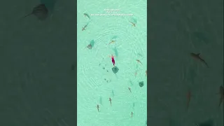 We Have Nothing to do Except Being Happy #shorts #behappy  #frenchpolynesia #wesail #lifestylevlog