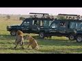 Kenya Tanzania A Classic Safari Tauck