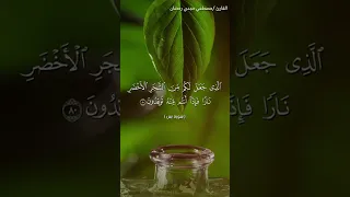 القارئ  مصطفي مجدي رمضان     ما تيسر من سورة يس دندنها