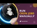 How to Run Cron Job Manually in Magento 2 Run Cron from Admin Panel