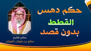 حكم دهس القطط بدون قصد العلامة الشيخ صالح الفوزان 