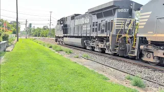 THOROUGHBRED DASH 9 NS 269 in Macungie PA 26
