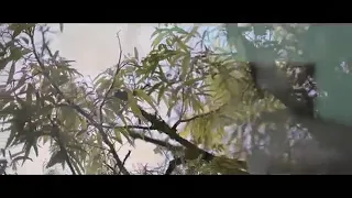 cinta dalam doa cover tryana