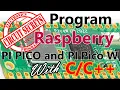 How to setup VS Code for raspberry pi pico w Windows
