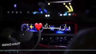 حالات واتس اب واريدك ياغالي 