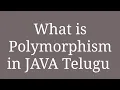 Part 12 Polymorphism Types of Polymorphism in Java TELUGU