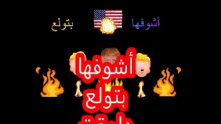 أشوفها بتولع دلوقت                 دندنها