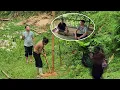 Download Lagu Hoi helped the girl pull the electric wire to light up the house.