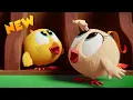 Lagu NEW Climb up, Chicky! | Where's Chicky? | Cartoon Collection in English for Kids | New episodes