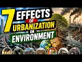 7 EFFECTS OF URBANIZATION ON ENVIRONMENT