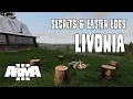 ArmA 3 Secrets Easter Eggs - Livonia