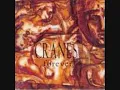 Cranes -  Everywhere