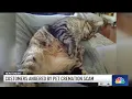 Customers brand pet cremation company as scam