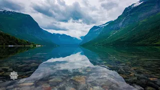 و س يق  ال  ذ ين  ات  ق و ا ر ب  ه م  إ ل ى ال ج ن  ة  ز م ر ا ۖ   قاري شیخ حسن صالح                دندنها