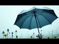 Download Lagu DDT: Rain / ДДТ: Дождь (Dozhd) -AI alternative Cover -(ENG v5. GOOD-1 -M-)