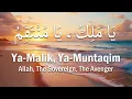 Lagu Ya Malik Ya Muntaqim – 100 Dhikr for Divine Justice \u0026 Spiritual Reflection | Allah’s 99 Names | LoFi