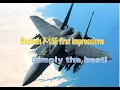 Razbam latest F - 15E 1st impressions