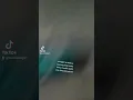 Download Lagu DJ DEMI CINTA YANG MENYALA KANE ( NABIH IKOO)DJ FYP TIK TOK 2022 || DJ RELA DEMI CINTA VIRAL TIKTOK