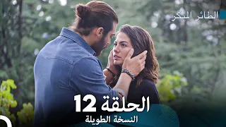 Arabic Dubbed Long Version النسخة الطويلة الحلقة 12 