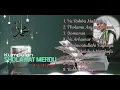 Download Lagu kumpulan sholawat alwi assegaf