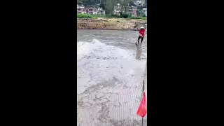Nollora Nunery Live Stream