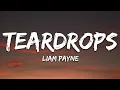 Download Lagu Liam Payne - Teardrops (Lyrics)