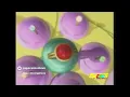 SpaceToon (2005-2006) Ramadan Kareem with objects only Music Description by SpaceToon Love