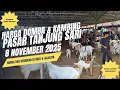 Harga Domba \u0026 Kambing Hari Ini Di Pasar Tanjung Sari 8 November 2025| Harga Naik Dikit!