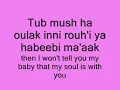 Haifa Wehbe- Ya hayat albi(Life of My Heart) Arab/ English lyrics