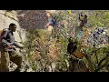 Download Lagu Nomadisch leven in Iran | Oogsten van wilde bergpistachenoten🌄 door een nomadenfamilie in Zagros 🌿
