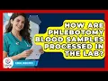 How Are Phlebotomy Blood Samples Processed In The Lab - Clinical Career Path