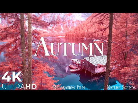 Download MP3 Autumn Melodies - Relaxation Film 4K - Peaceful Relaxing Music - Nature 4k Video UltraHD